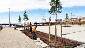 Cap Agde - Mole -10 juin 2024 - 06